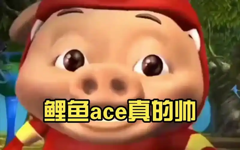 鲤鱼ace真的帅