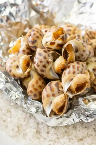 锡纸盐焗花螺特写 食材