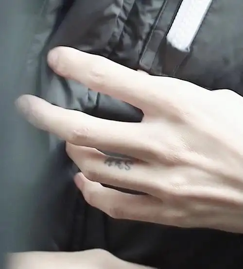 赵珂脖子 陆柯燃 夏瀚宇剪刀7015 郑乃馨 范丞丞 朱正廷羽毛纹身