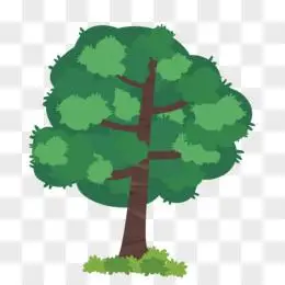 大树树影植物夏天