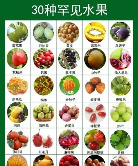 中国全部水果名称大全: 香蕉,苹果,枇杷,草莓,柠檬,桃子,榴莲,梨,红枣