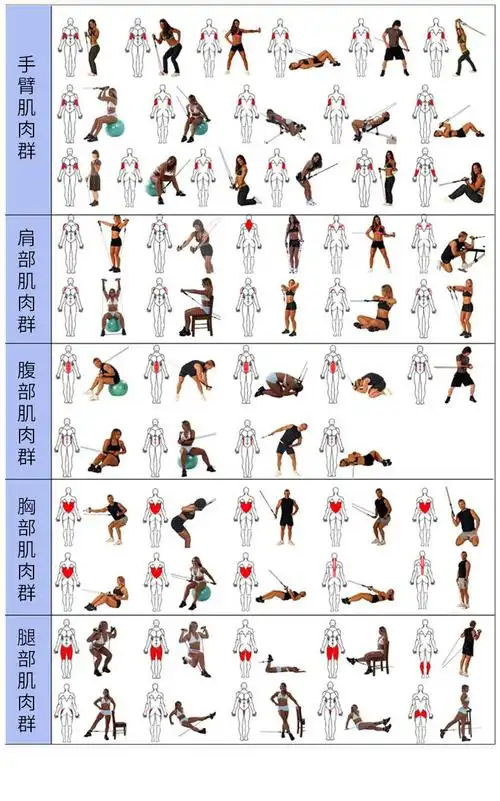 弹力绳健身男拉力弹力带扩胸拉力器胸肌训练健身器材家用阻拉力绳