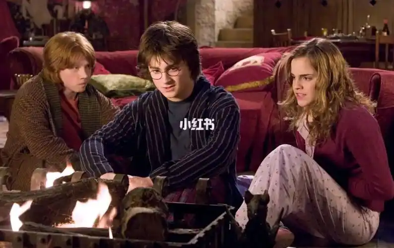 哈利波特应该和赫敏在一起_搞笑_电影_哈利波特_混血_化学_婚姻_哈赫