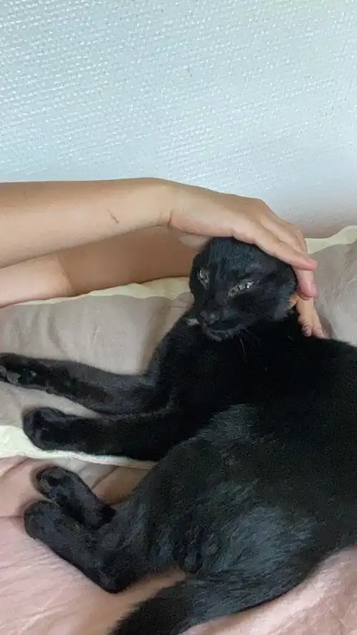 妈妈,头发扎的有点紧