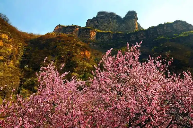 三月,走进桃花谷风景区,描绘一幅独具特色的初春画卷_腾讯新闻