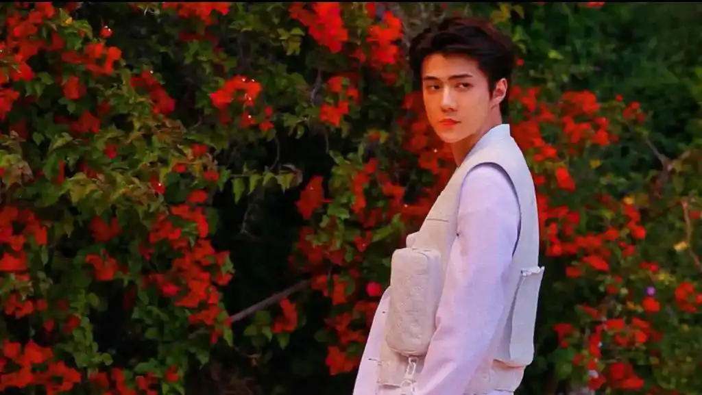 说浪漫点遇见你是我命好#吴世勋 #背景图  - 抖音