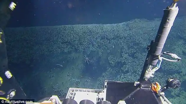 科学丨海底首次发现怪异无底卤水池可杀死任何生物