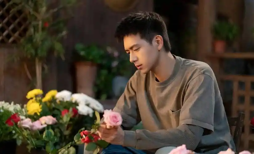 李现最火十部电视剧,哪部让你"上头"了?