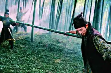 《十面埋伏观影手册》第六幕:竹林深处