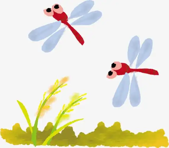 蜻蜓飞可爱卡通