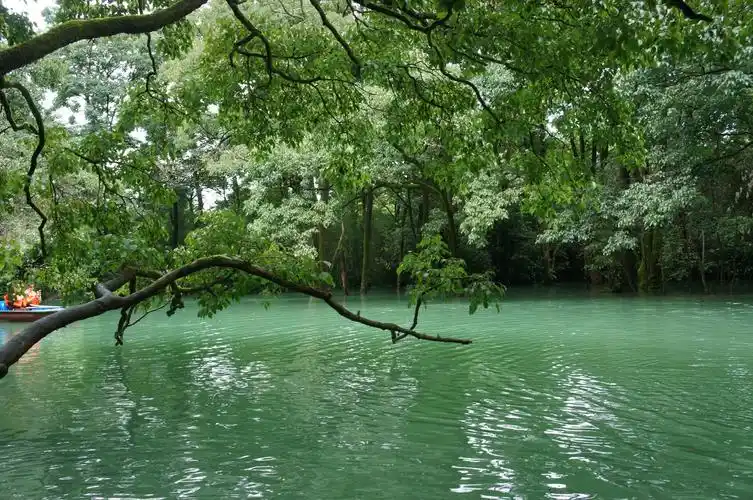 看不尽的青山绿水之多彩贵州~~~黔西南到黔东南13日游