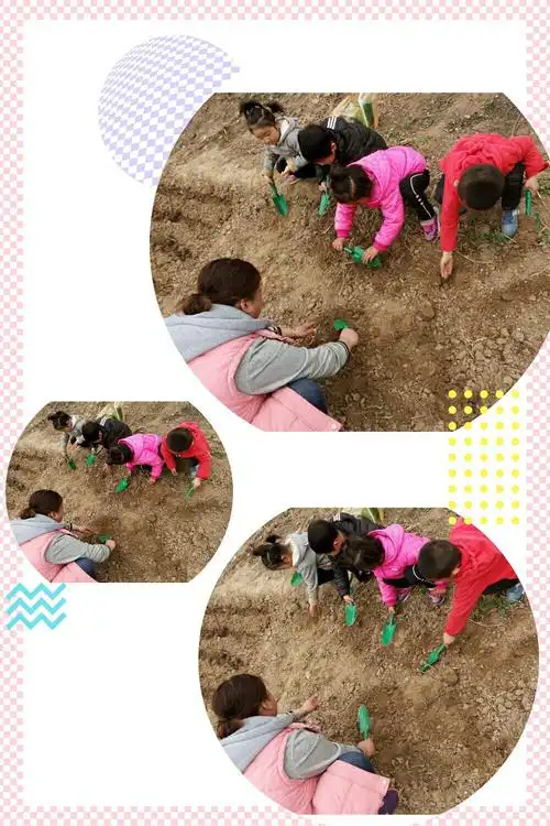 小朋友们挖坑种植的速度不一样哦!