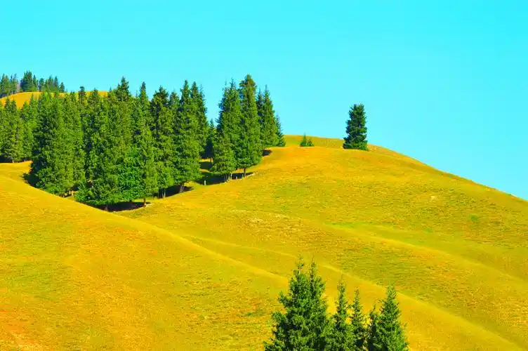 秋天来了……1_风景_poco摄影,动起来,瞰见秋天,摄影,色彩