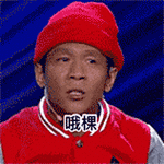 宋小宝演员欢乐喜剧人哦棵gif动图_动态图_表情包下载_soogif