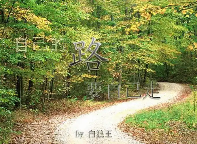 自己的路自己走 加油 !