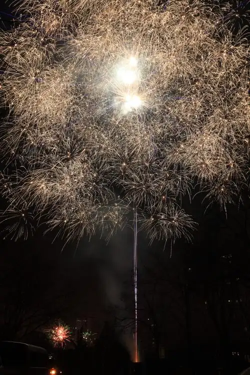 2015年春节的烟花