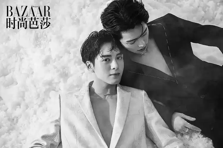 宇日俱曾双人芭莎