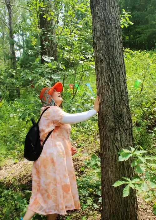 不论树上树下都看个遍.