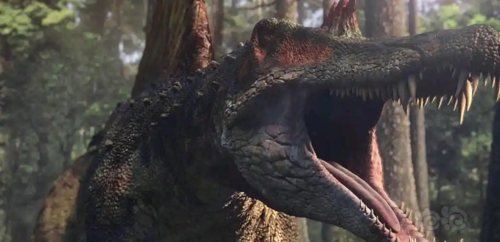 发一点棘背龙的美图欣赏