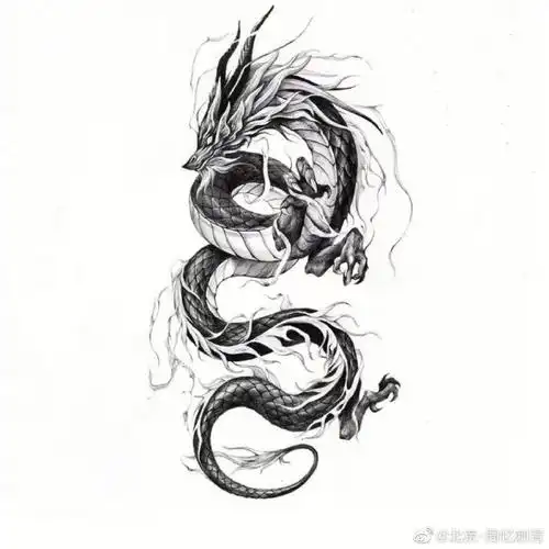 今日纹身素材分享龙#纹身设计##纹身分享##北京周忆刺青##北京纹身