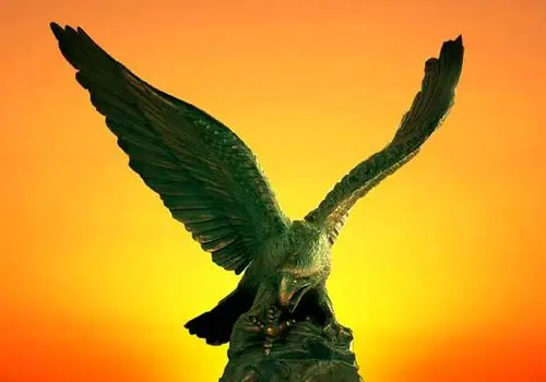 神鹰迎朝阳,展翅任翱翔