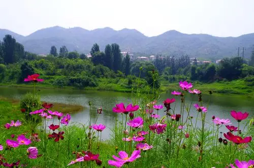山山水水,花花世界 - 六百一十六言摄影