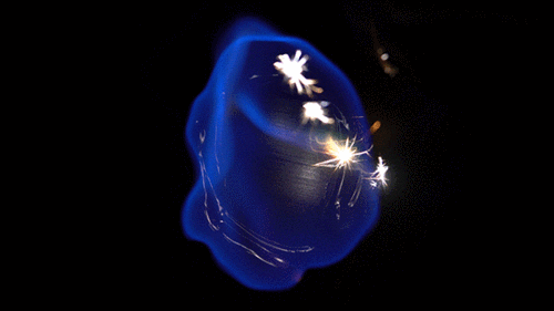 600_337gif 动态图 动图