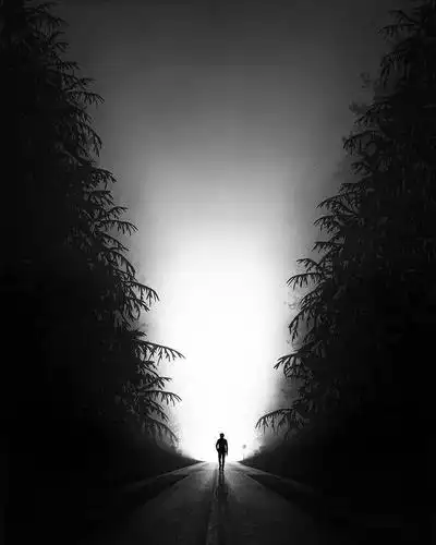 别有意境的黑白风景