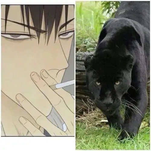 "19天"动物绘,见一变"萌狗",红毛是狐狸?蛇立太像了吧