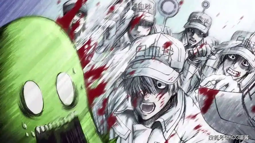 就比如说白细胞这个角色吧,在动漫中白细胞是由一群帅气冷漠的小哥哥