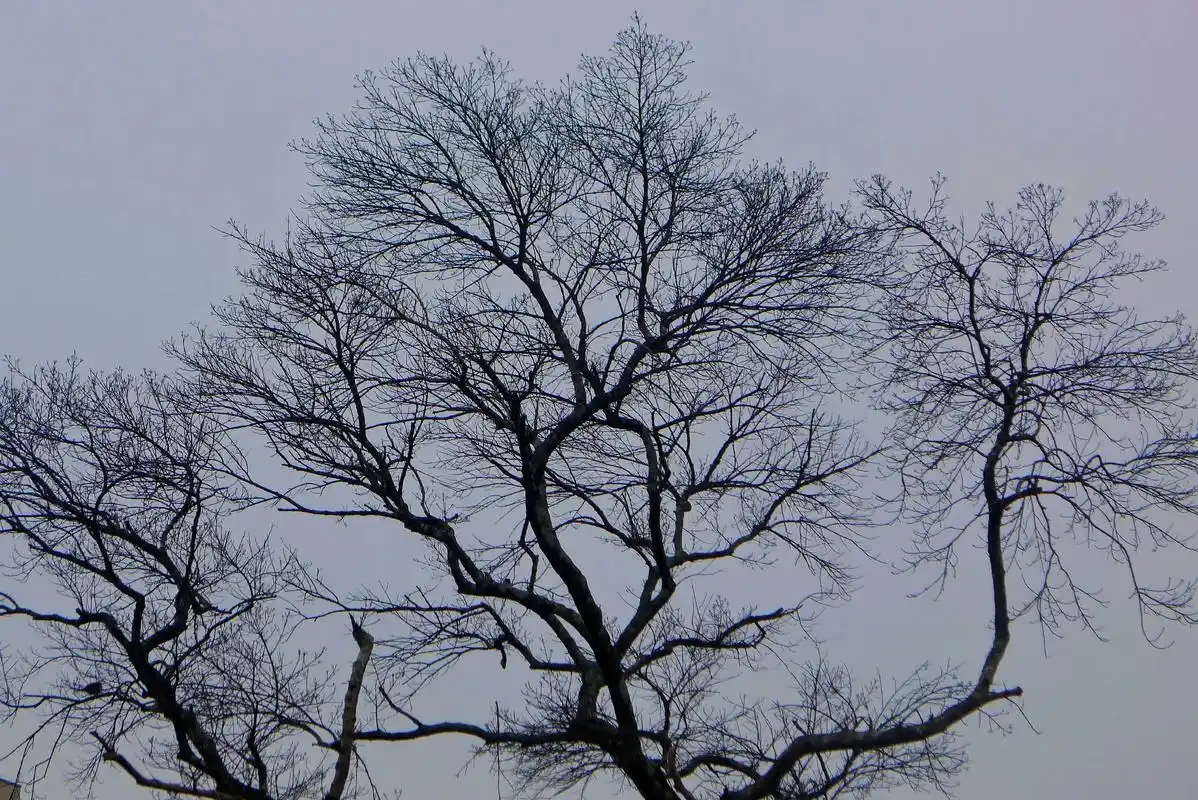 #摄影 #fpy #情绪 我在黑夜里探索着曾经 - 抖音