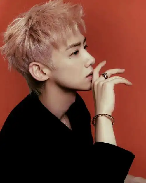 白敬亭深v黑背心##白敬亭侧脸轮廓