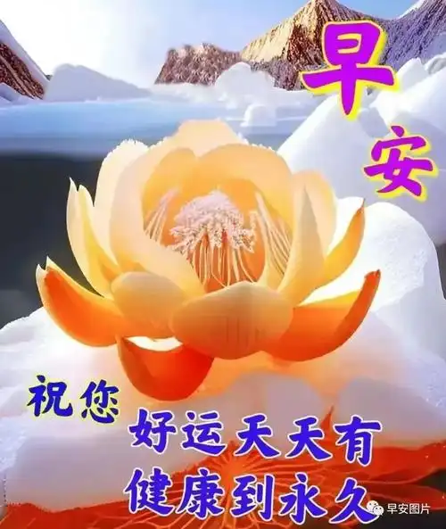 7月9日早上好漂亮祝福图片