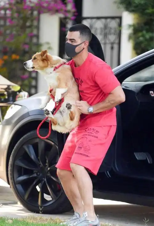 乔·乔纳斯(joe jonas)最新街拍照