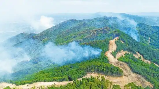 24小时抢通2条森林防火通道总长6千米便于人员物资进出可升级为隔离带