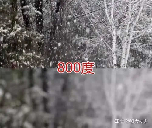 近视眼眼里的世界三百度vs五百度800度我还有救吗