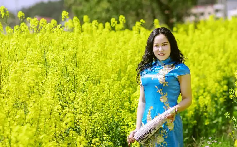 当油菜花地遇见旗袍美女