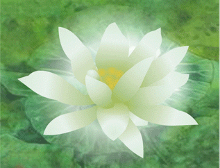 佛光艺术吧-百度贴吧--佛教的宗旨,就是帮助一切众生离苦得乐