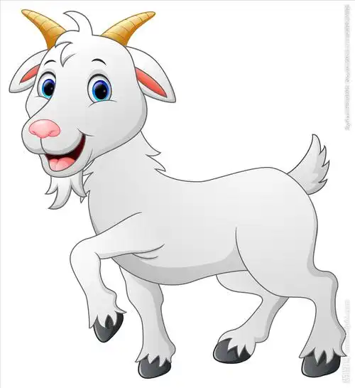 山羊图片