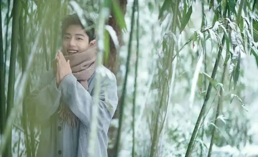 肖战冬至竹林雪景大片来了,仪式感满满,如梦之梦今日正式开演_衣服