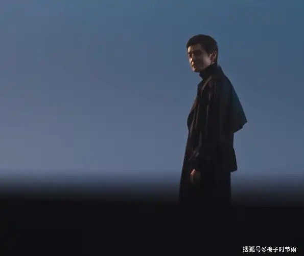 最后宝总和李李交谈之后,李李回忆到了a先生,之前的a先生只有一个背影