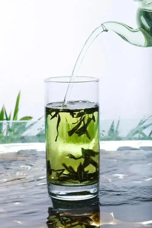 警惕!这些养生误区你中招了吗?