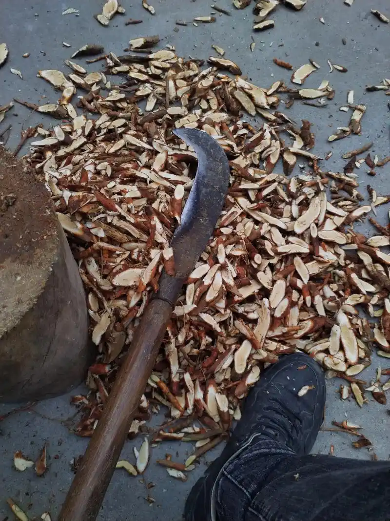 从深山老林挖的白猕猴桃根有需要的赶紧联系我,东西不多