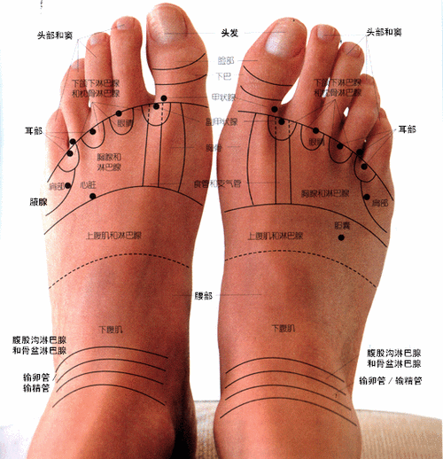 观脚知健康 10秒钟辨别15种病症
