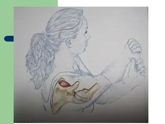 冈上肌拉伸方法