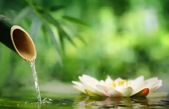 最好的免疫力就是心灵的和谐与宁静