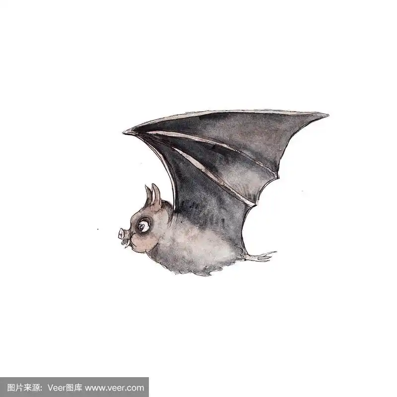 水彩手绘万圣节蝙蝠插图孤立在白色的背景