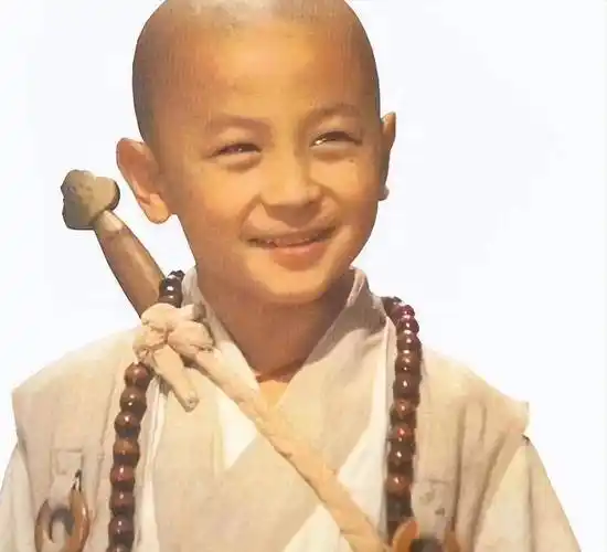 释小龙何洁分手11年后,一个身家过亿,一个捉襟见肘