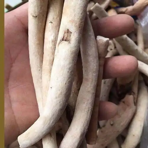 伟博一见起 苗药50g/ 100g/500克 男士泡酒 2000克4斤