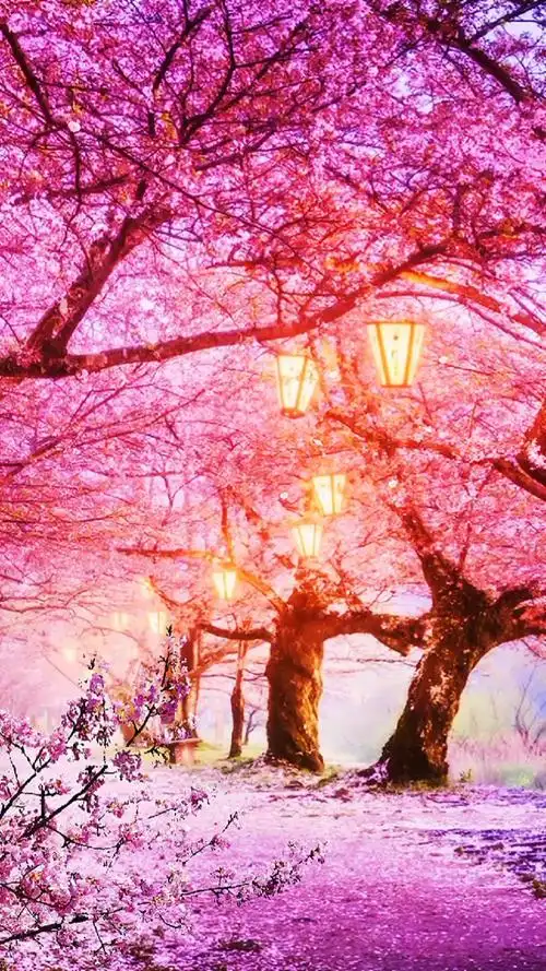 最美的风景#飞花满天人尤在,道是捡花换酒钱.